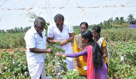 Agriculture Conclave 2024 organised by Indian Merchants Chamber (IMC)