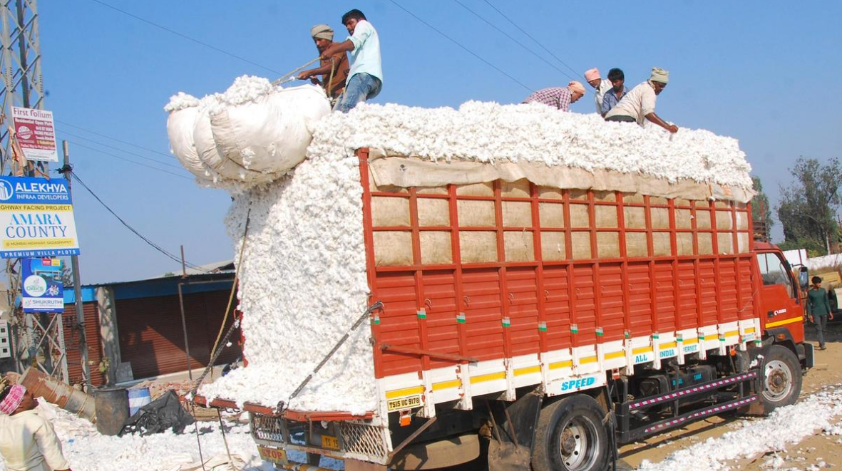 Weekly Cotton Market Update – Week 8, 2026