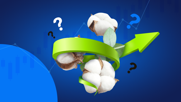 Weekly Cotton Market Update – Week 1, 2026