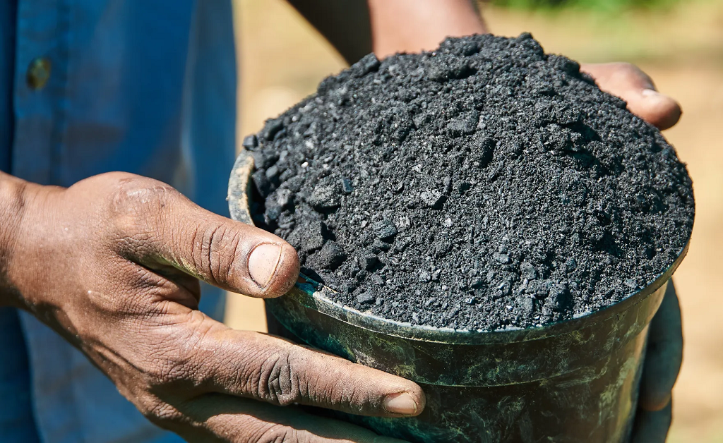 Biochar